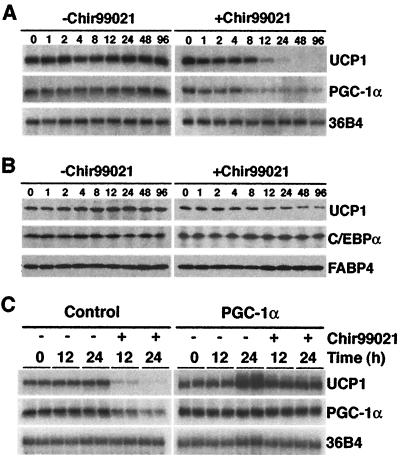 FIG. 5.