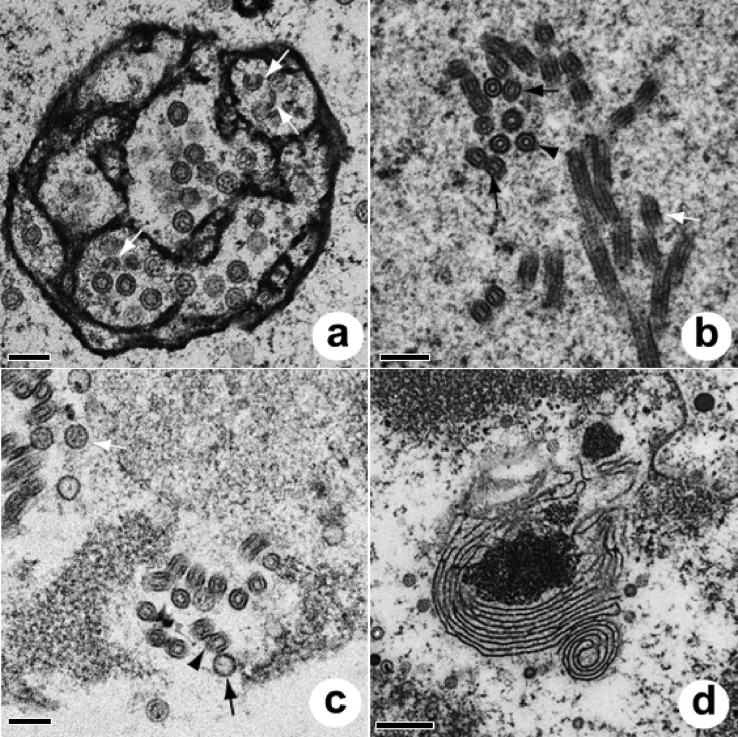 FIG 3