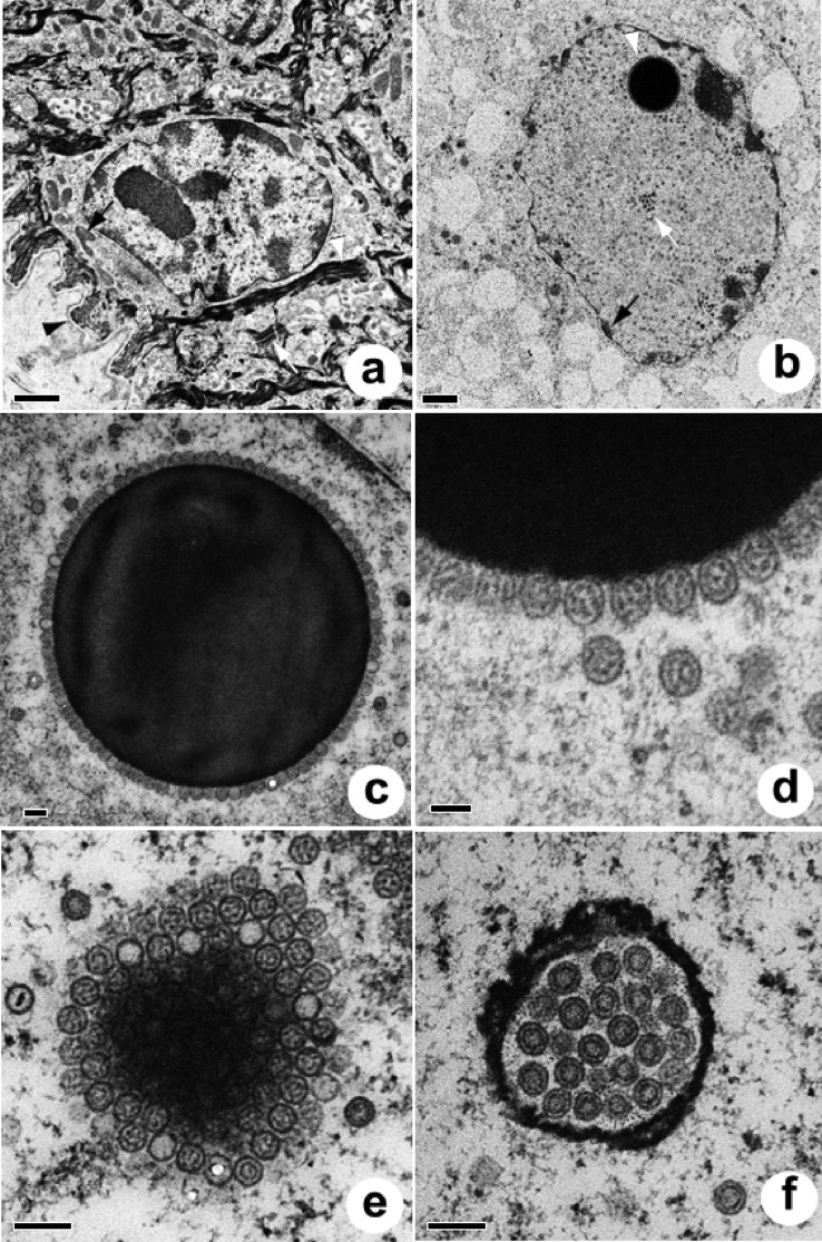 FIG 2