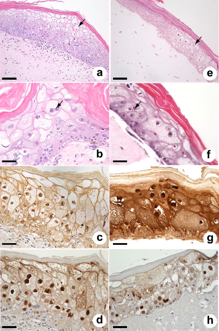 FIG 1