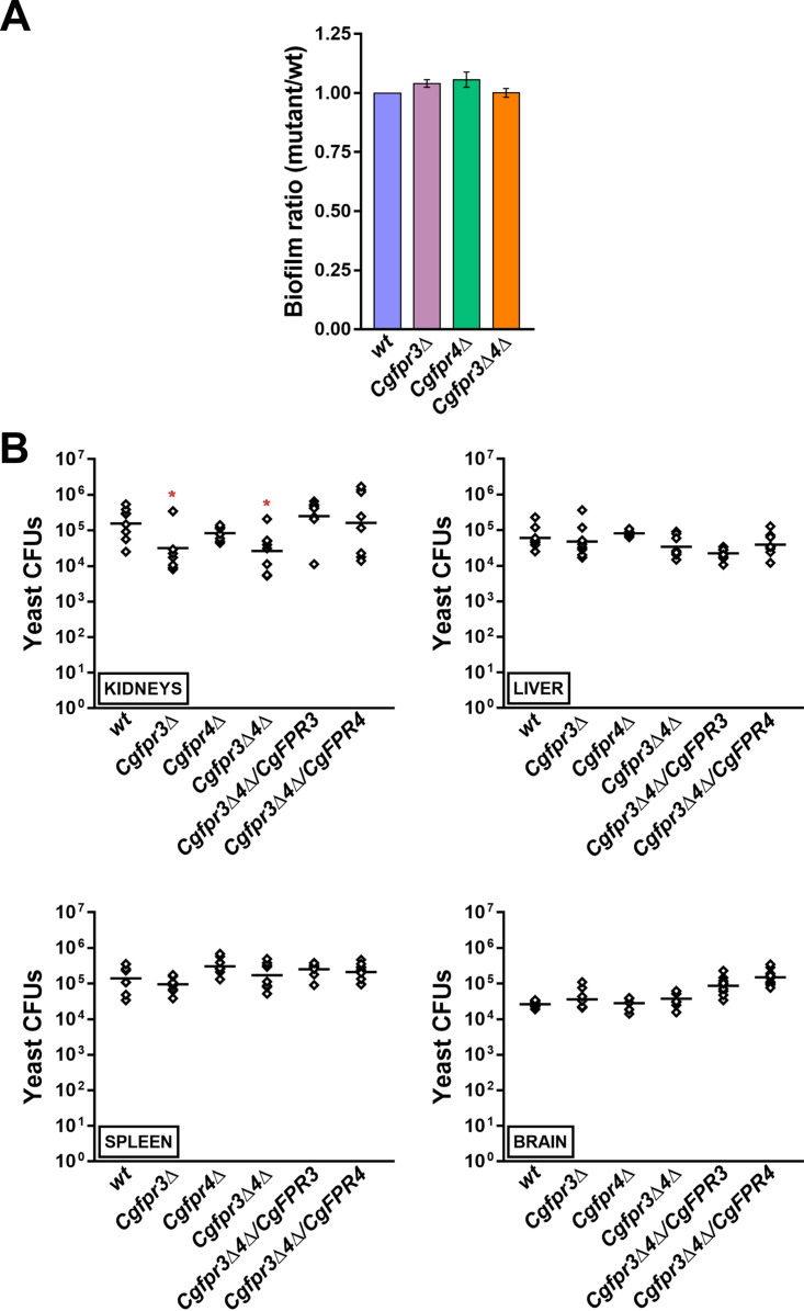 FIG 2