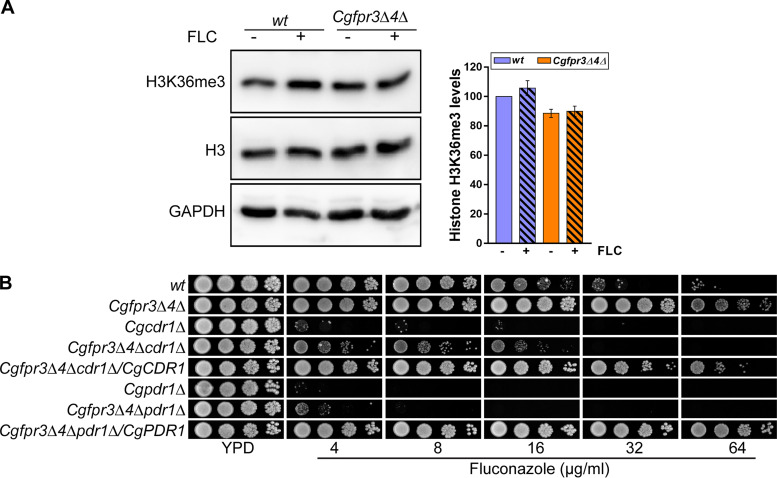 FIG 6