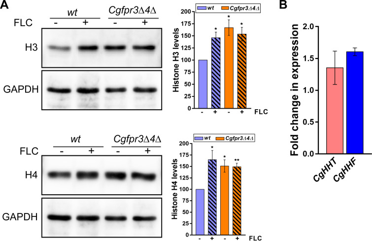 FIG 4