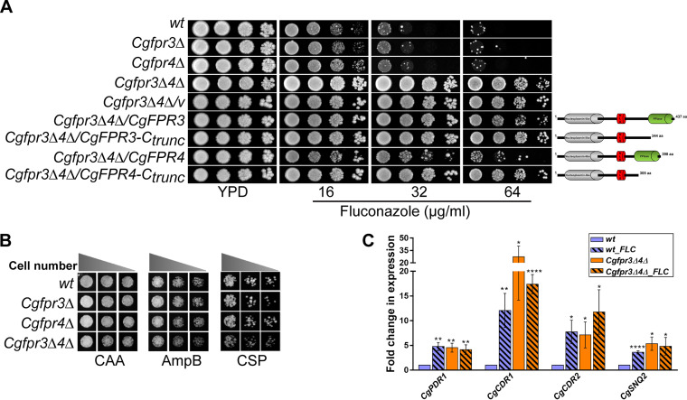 FIG 3