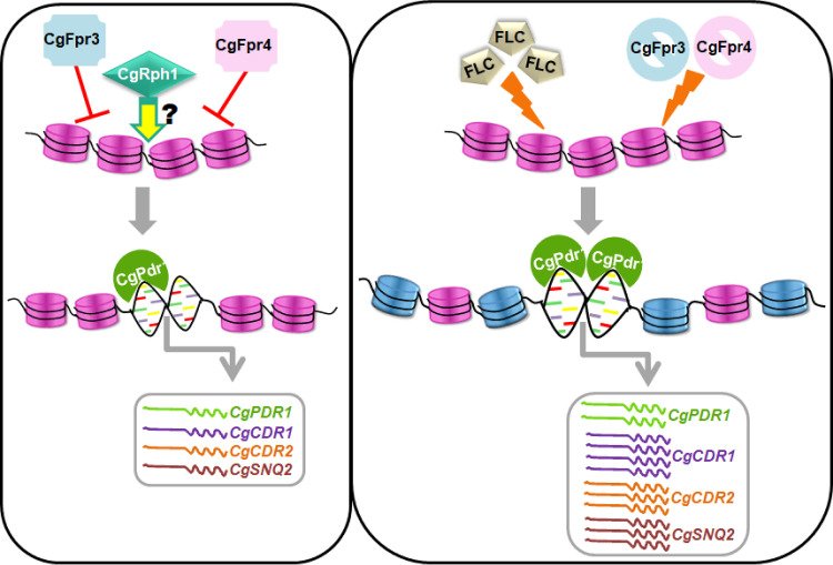 FIG 7