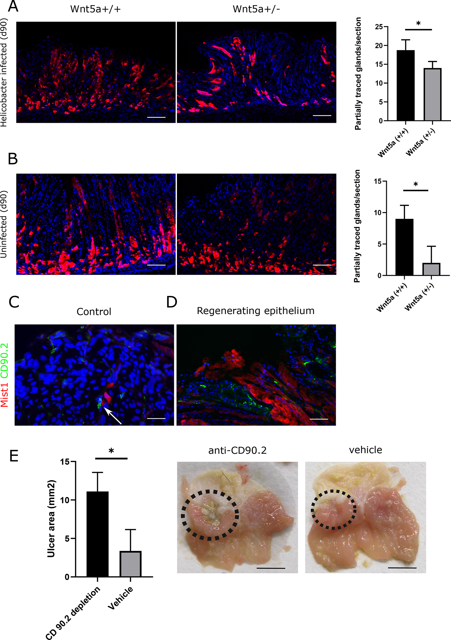 Figure 6: