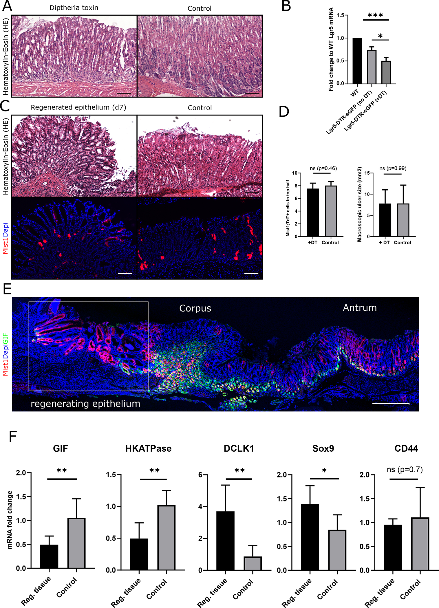 Figure 3: