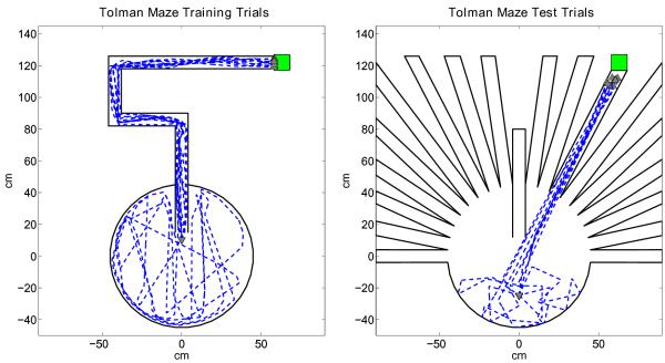 graphic file with name nihms-346909-f0011.jpg