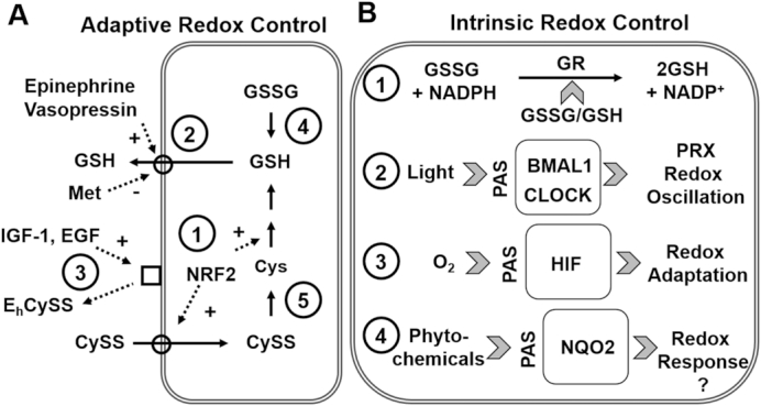 FIGURE 3