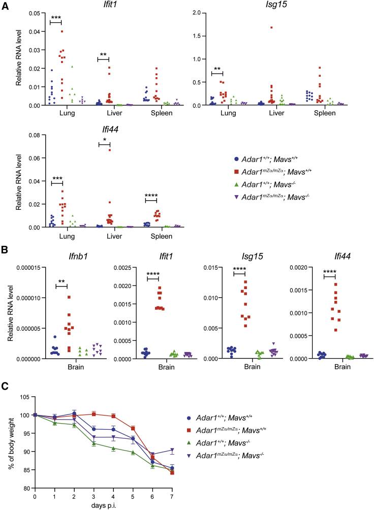 Figure 6