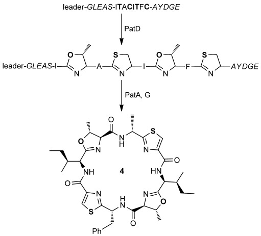 Scheme 2