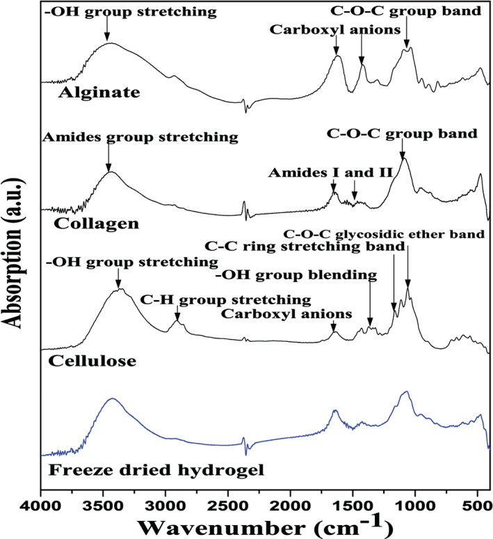 IWJ-12762-FIG-0004-c