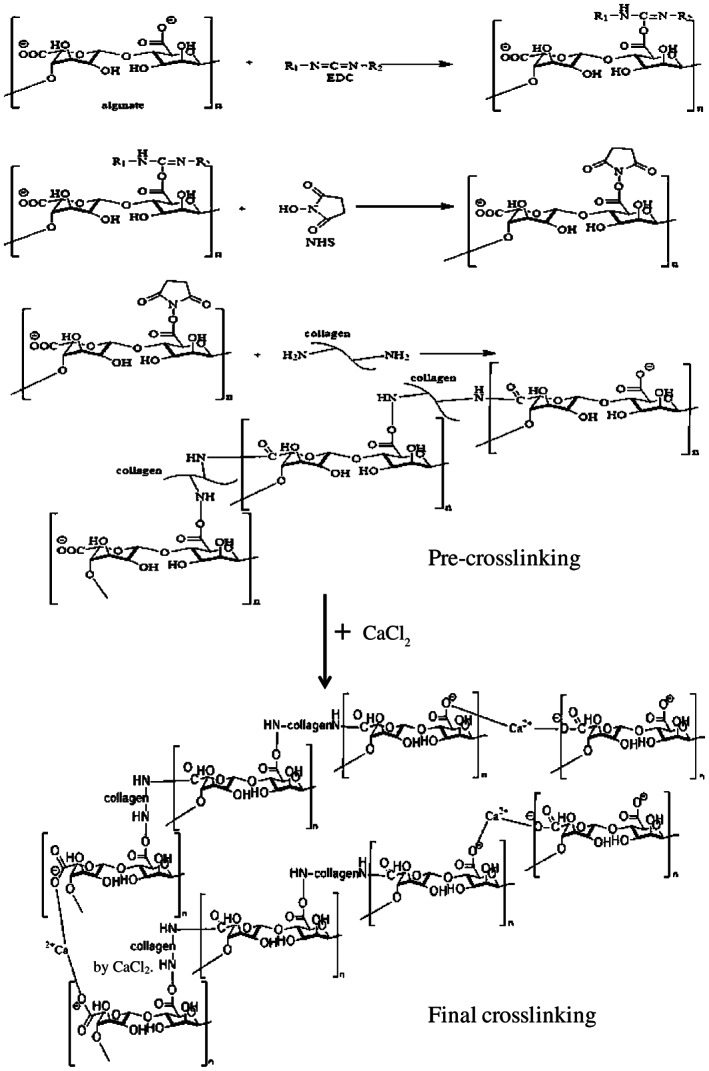 IWJ-12762-FIG-0012-b