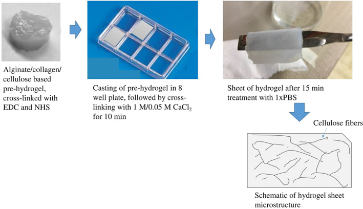 IWJ-12762-FIG-0001-c