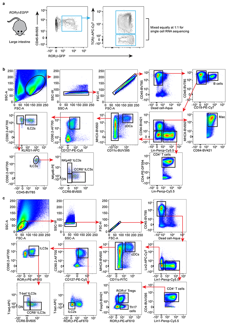 Extended Data Figure 1.