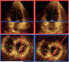 Fig. 9