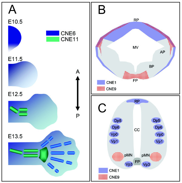 Figure 6