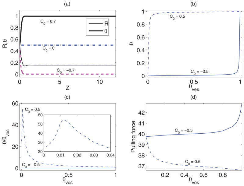 FIG. 3