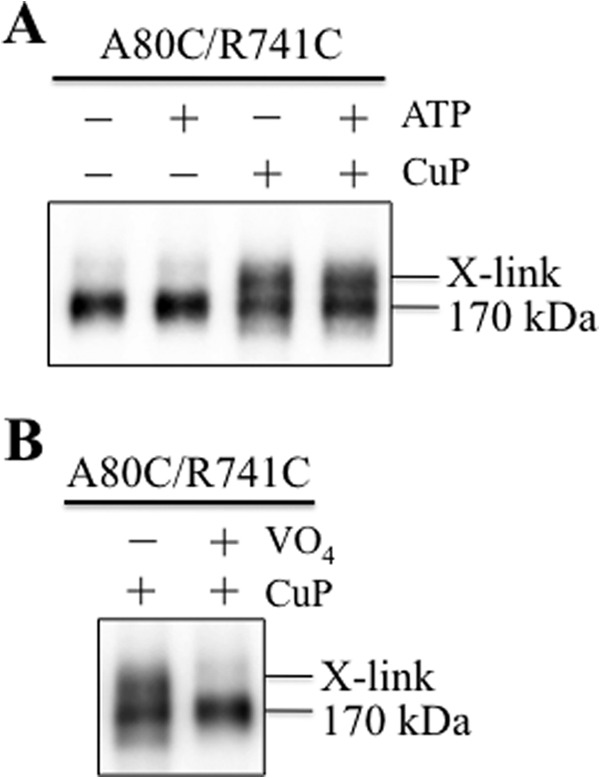 FIGURE 10.