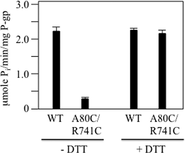 FIGURE 6.