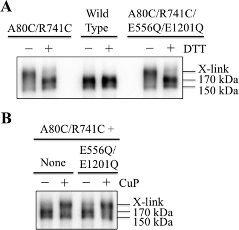 FIGURE 9.