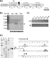 FIG 1