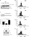 FIG 6