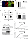 FIG 9