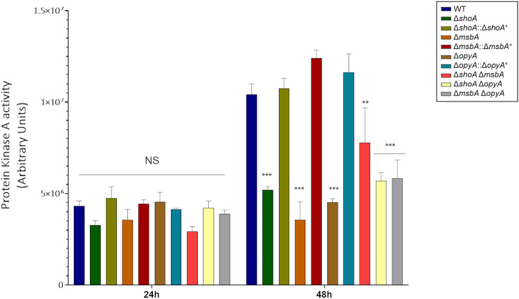 FIG 10