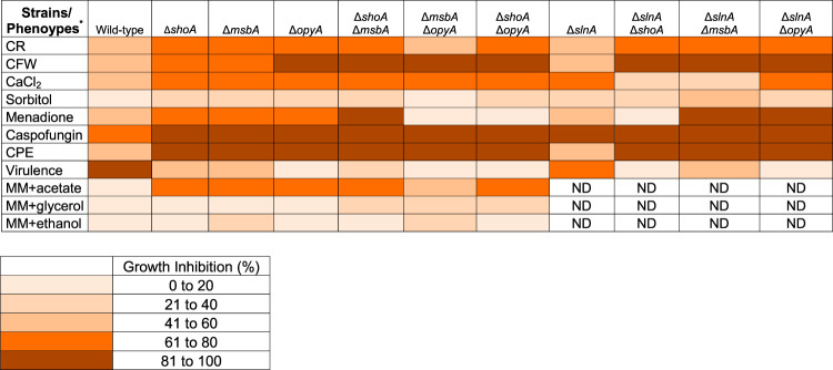 graphic file with name mSphere.00818-20-t0001.jpg