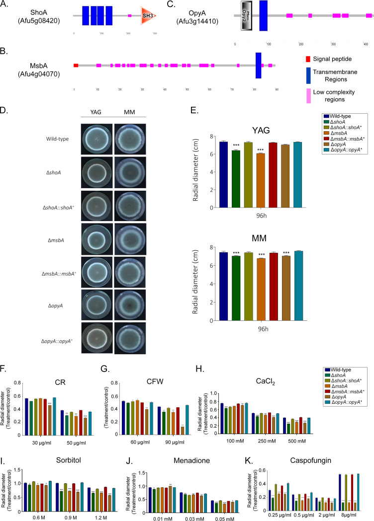 FIG 2