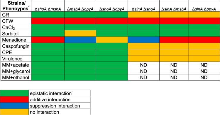 graphic file with name mSphere.00818-20-t0002.jpg