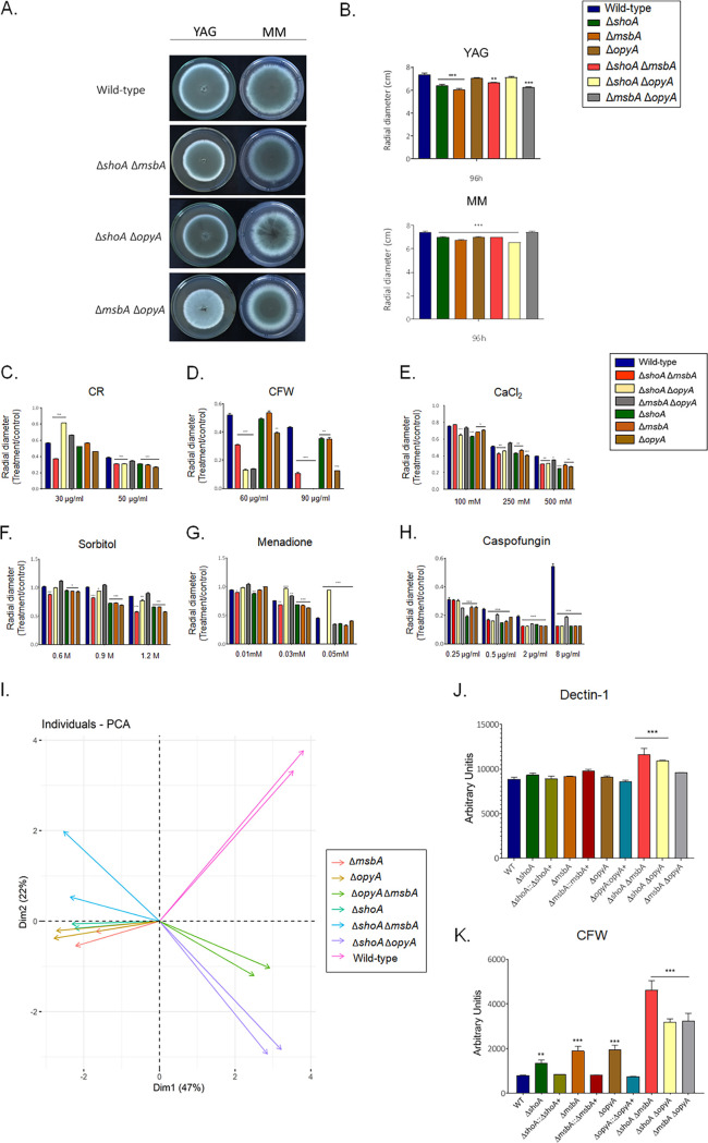 FIG 3