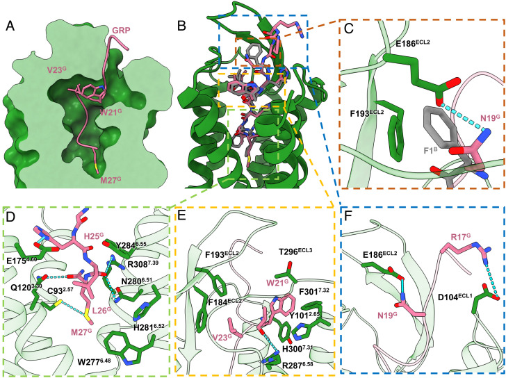 Fig. 4.