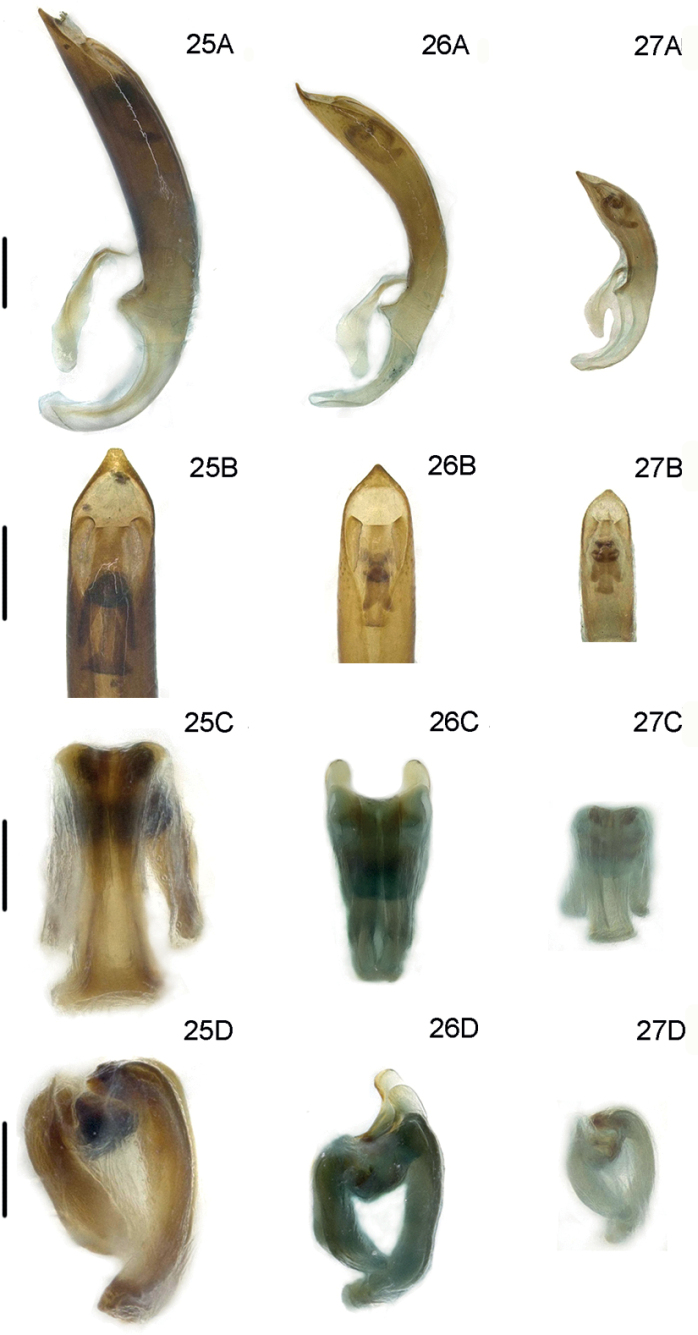 Figures 25–27.