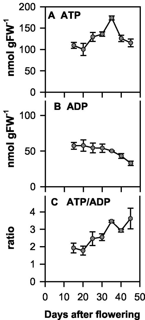 Figure 9.