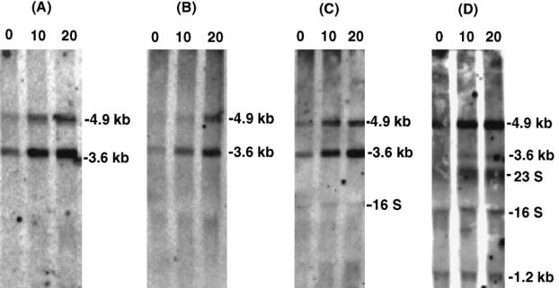 Fig 4.