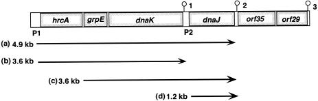 Fig 5.