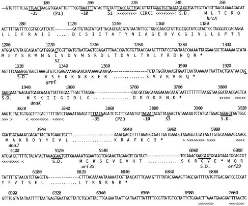 Fig 2.