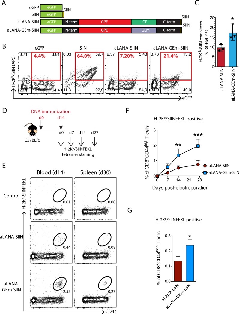 Fig 10