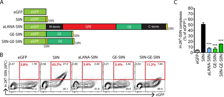 Fig 5