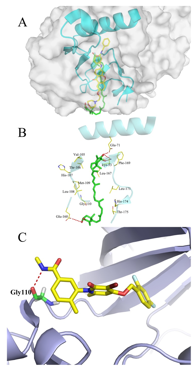 Figure 9