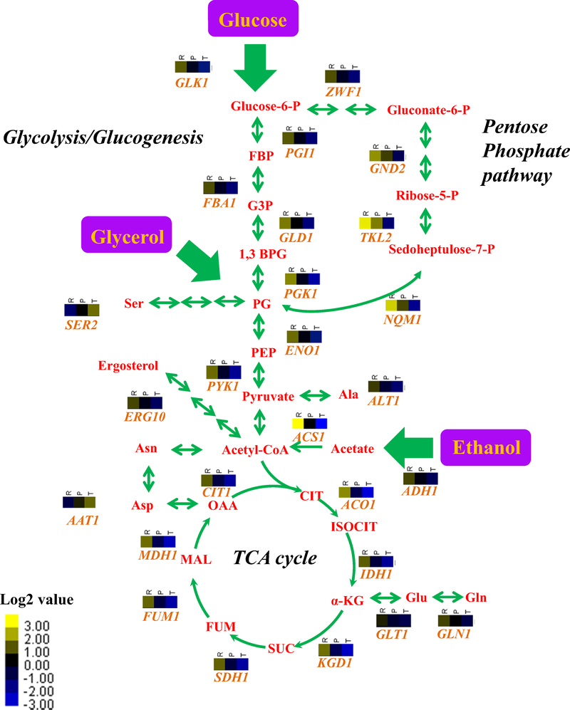 Fig. 3