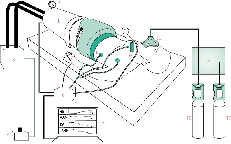 Fig. 1