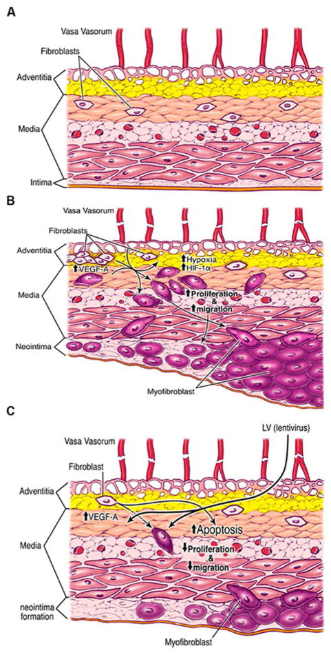 Fig. 8