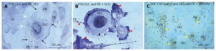 Figure 15