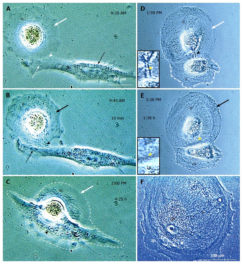 Figure 14