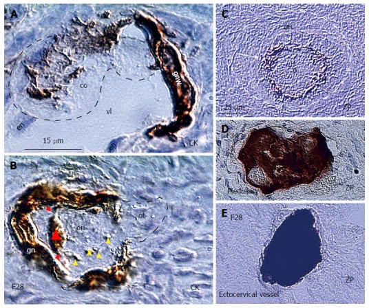 Figure 12