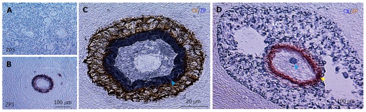 Figure 13