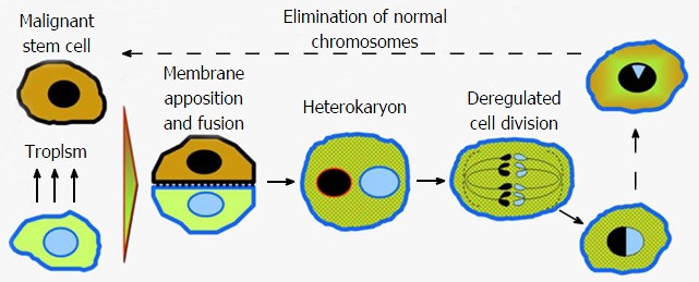 Figure 19